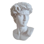 Guérip David Statue Head Portraits Mini Gypsum Michelangelo